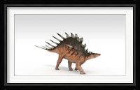 Kentrosaurus Dinosaur Fine Art Print