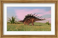 Kentrosaurus Walking across Grasslands Fine Art Print