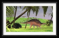 Kentrosaurus Walking in Field Fine Art Print
