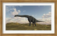 Large Brachiosaurus in a Barren Evnironment Fine Art Print