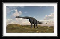 Large Brachiosaurus in a Barren Evnironment Fine Art Print