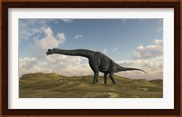 Large Brachiosaurus in a Barren Evnironment Fine Art Print