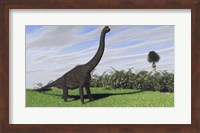 Large Brachiosaurus in a Field Fine Art Print