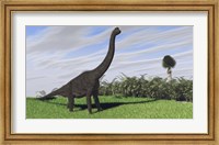 Large Brachiosaurus in a Field Fine Art Print