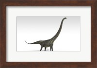 Mamenchisaurus Dinosaur Fine Art Print