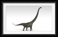 Mamenchisaurus Dinosaur Fine Art Print