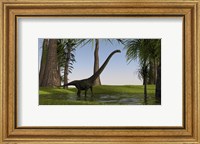Mamenchisaurus Walking through Swamp Fine Art Print