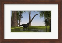 Mamenchisaurus Walking through Swamp Fine Art Print