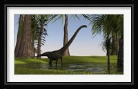 Mamenchisaurus Walking through Swamp Fine Art Print