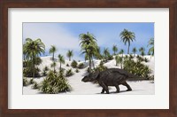 Triceratops in a Tropical Setting Fine Art Print