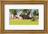 Triceratops Roaming a Tropical Environment Fine Art Print