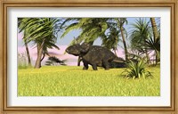 Triceratops Roaming a Tropical Environment Fine Art Print