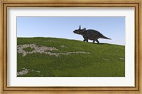 Triceratops Walking Across a Grassy Field Fine Art Print