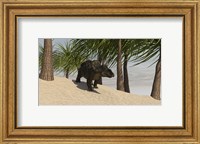 Triceratops Walking in a Tropical Environment Fine Art Print