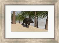 Triceratops Walking in a Tropical Environment Fine Art Print