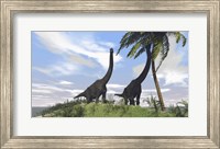Two Large Brachiosaurus Grazing Fine Art Print