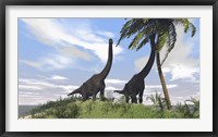 Two Large Brachiosaurus Grazing Fine Art Print