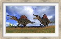 Two Spinosaurus Hunting Fine Art Print