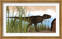 Tyrannosaurus Rex Hunting for Meal Fine Art Print