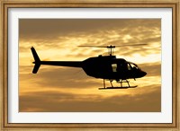 Bell 206 utility helicopter Fine Art Print