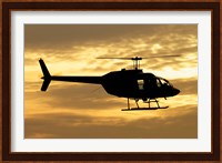 Bell 206 utility helicopter Fine Art Print