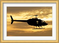 Bell 206 utility helicopter Fine Art Print