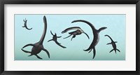Plesiosaurs Gather Underwater Fine Art Print