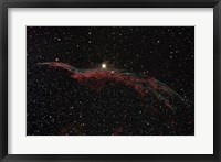 NGC 6960, The Western Veil Nebula Fine Art Print
