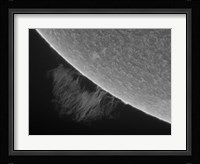 H-Alpha Sun Promimence Fine Art Print