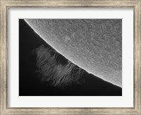 H-Alpha Sun Promimence Fine Art Print