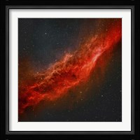 The California Nebula Fine Art Print