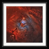 The Christmas Tree Nebula Fine Art Print