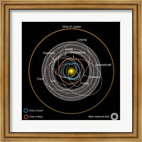Orbits of Earth-Crossing Asteroids Fine Art Print