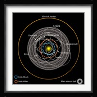 Orbits of Earth-Crossing Asteroids Fine Art Print
