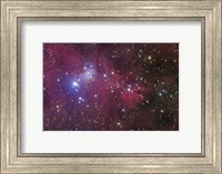 The Cone Nebula Fine Art Print