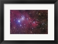 The Cone Nebula Fine Art Print