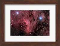 The Pelican Nebula Fine Art Print