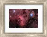 The Pelican Nebula Fine Art Print