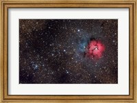 The Trifid Nebula Fine Art Print