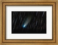 Comet 73P/Schwassmann-Wachmann Fine Art Print