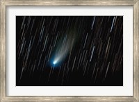Comet 73P/Schwassmann-Wachmann Fine Art Print
