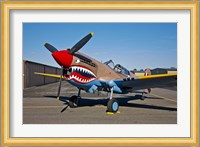 Curtiss P-40E Warhawk Fine Art Print