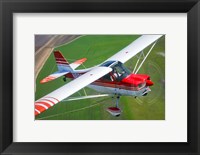 Champion Aircraft Citabria Fine Art Print