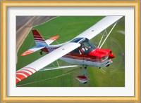 Champion Aircraft Citabria Fine Art Print