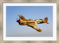 P-40N Warhawk Fine Art Print