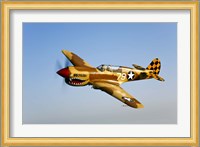 P-40N Warhawk Fine Art Print