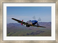 A P-51D Mustang 2 Fine Art Print