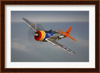 A Republic P-47D Thunderbolt Fine Art Print