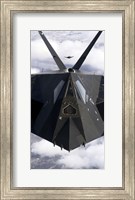 The F-117A Nighthawk Fine Art Print