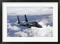 F-15C Aggressor Fine Art Print